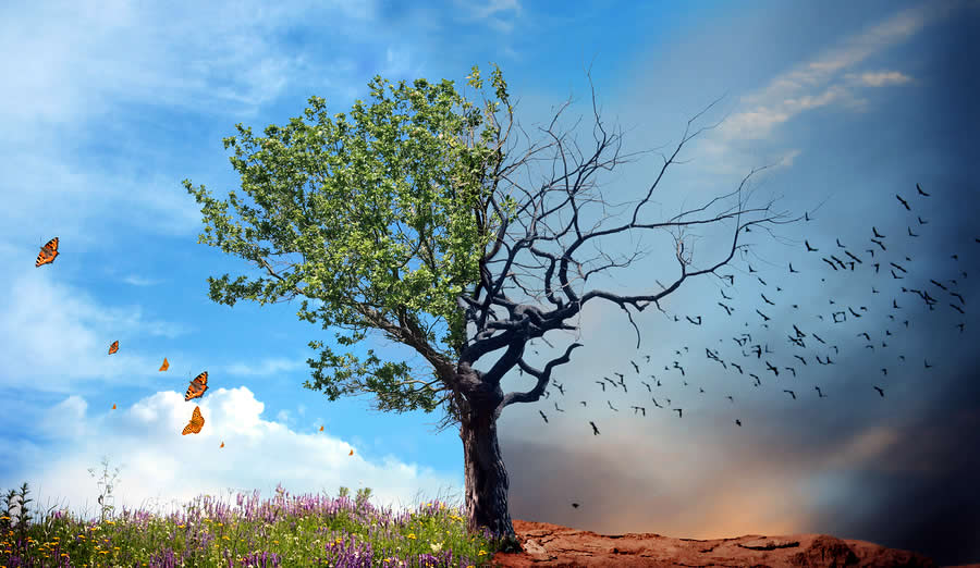 De la culture du management du changement